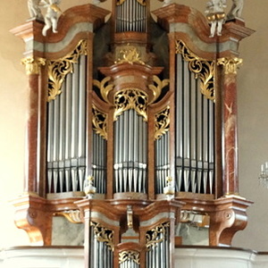 Orgel                     
