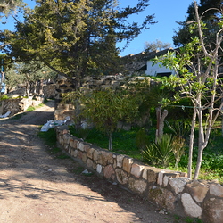 Im Garten Getsemani