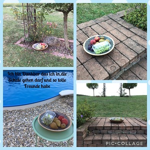 Meine Schale der Dankbarkeit