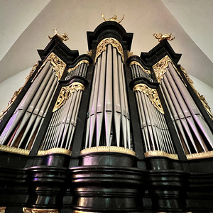 Eisenstadt - Domkirche St. Martin / Markus Heuduschits