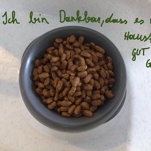 Meine Schale der Dankbarkeit