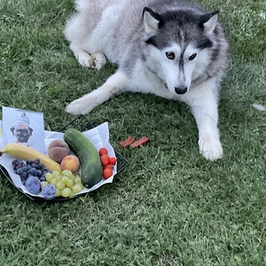 Meine Schale der Dankbarkeit