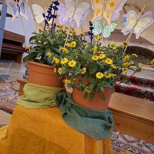 Blümentöpfe mit blühenden Blumen und Schmetterlingen aus Papier, die darin stecken