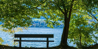 Sommer. Unter einem Baum steht eine Bank und der Blick geht hinaus auf einen See