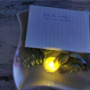 Meine Schale der Dankbarkeit