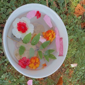 Meine Schale der Dankbarkeit