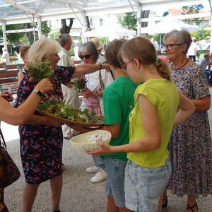 Kräutersträußerl für Gläubige