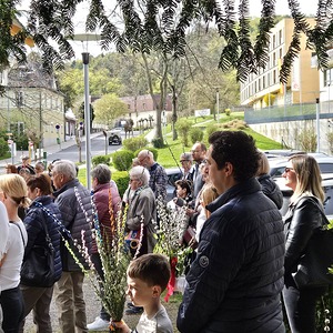 Segnung Palmzweige - Gäste