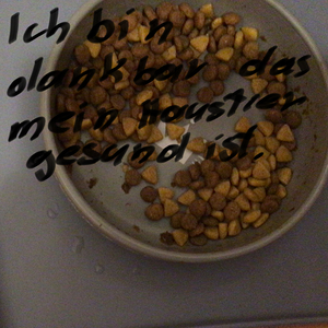 Meine Schale der Dankbarkeit