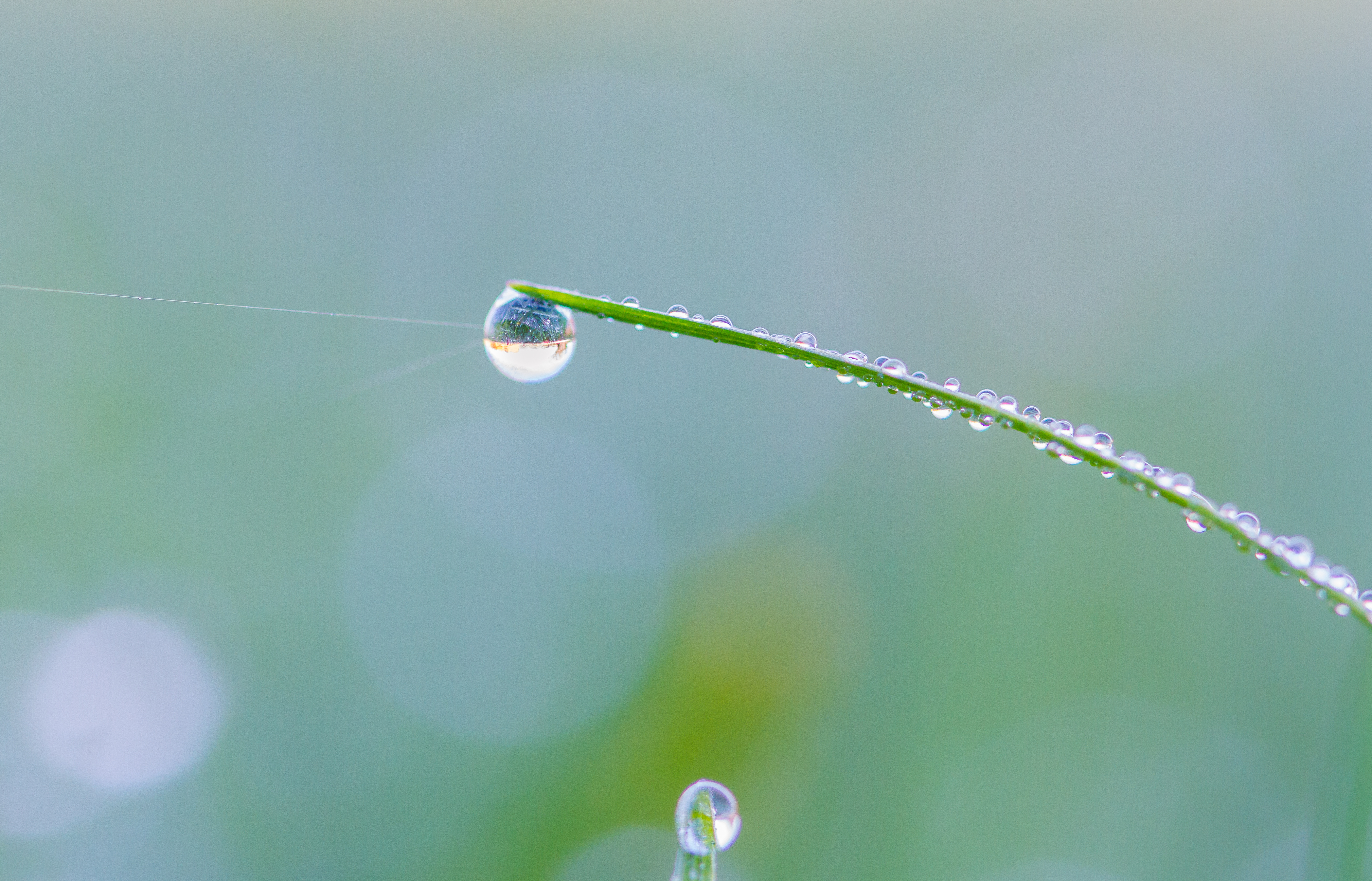 ©PhotoGraal - stock.adobe.com